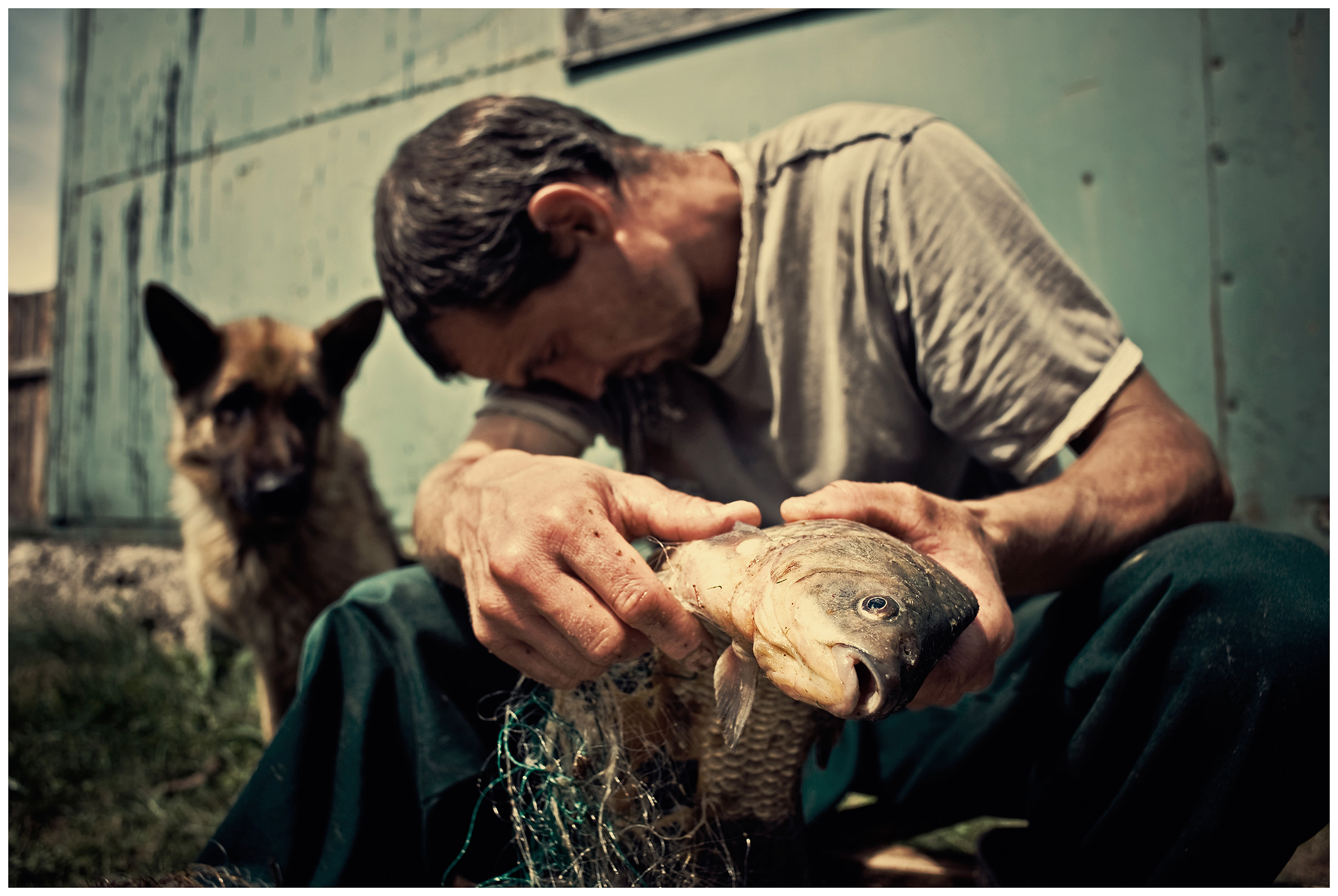 Belarus, village of Chereshlya. A man sits on a bench with a fish in his hand.