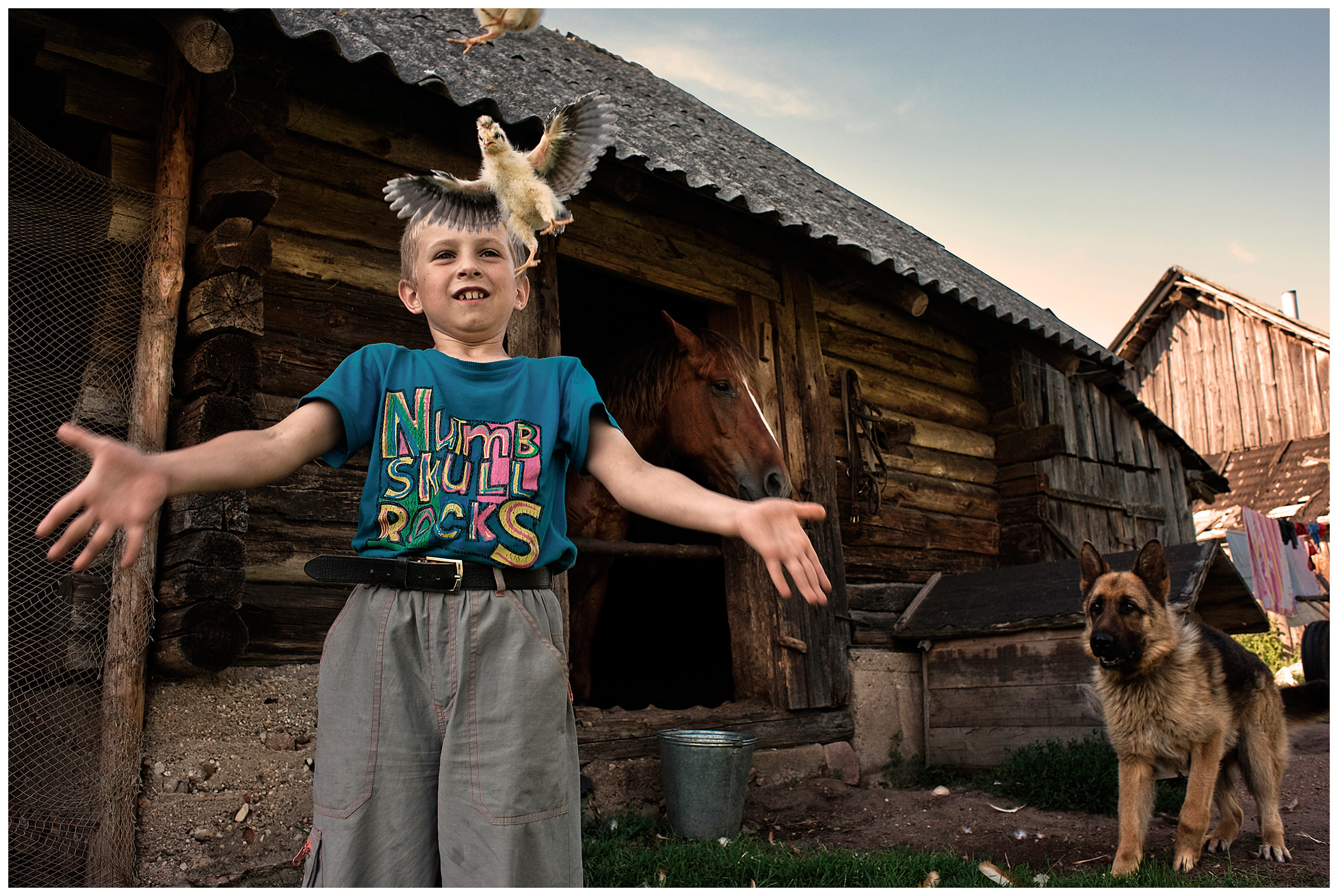 Belarus, village of Chereshlya. A boy plays with the chicks and a dog.