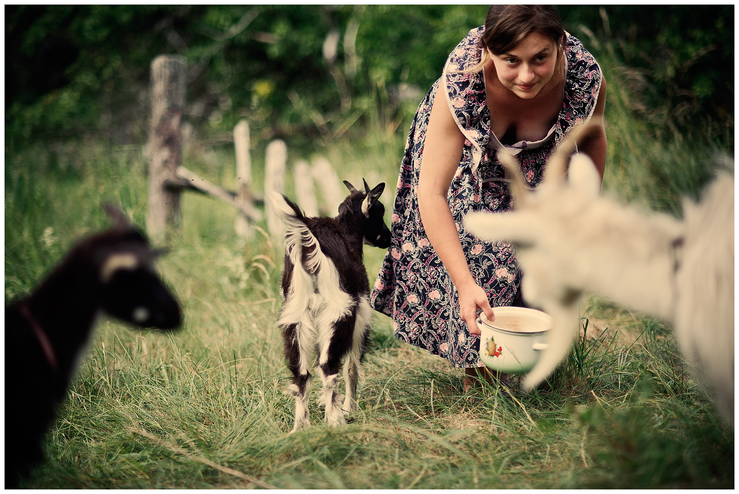 Belarus, village of Chereshlya. A young woman is milking goats.