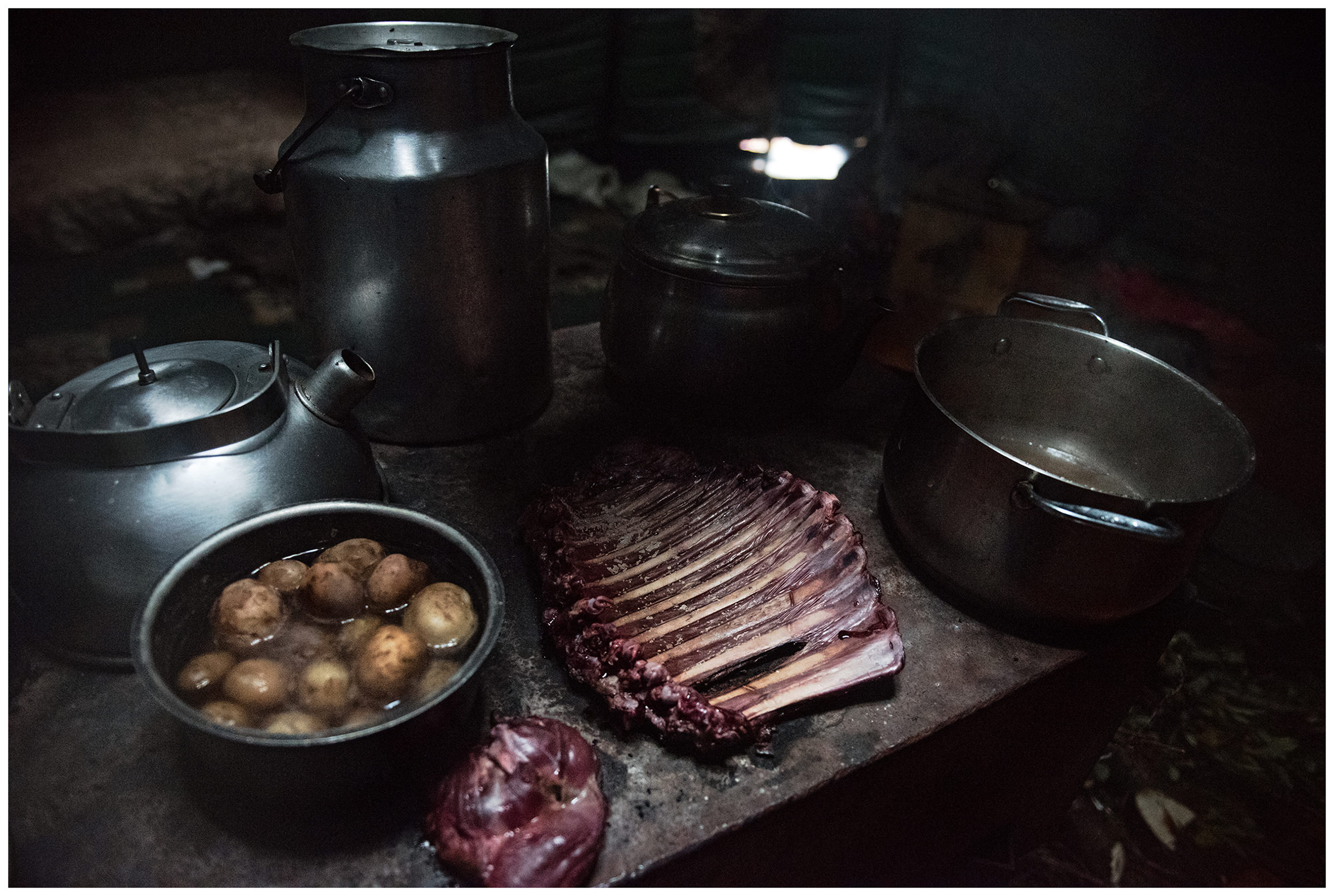 Nenets Autonomous Okrug, Komi Republic, Russia. Meat and potatoes lying on a hotplate in a tent.