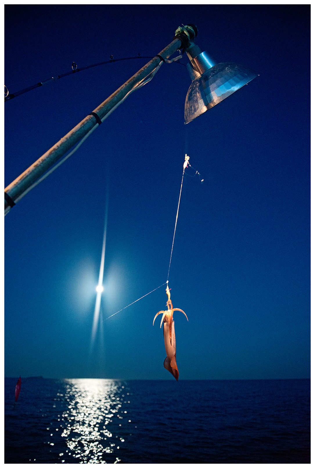 Village Posyet, Primorye, Russia. Cuttlefish are caught at night.