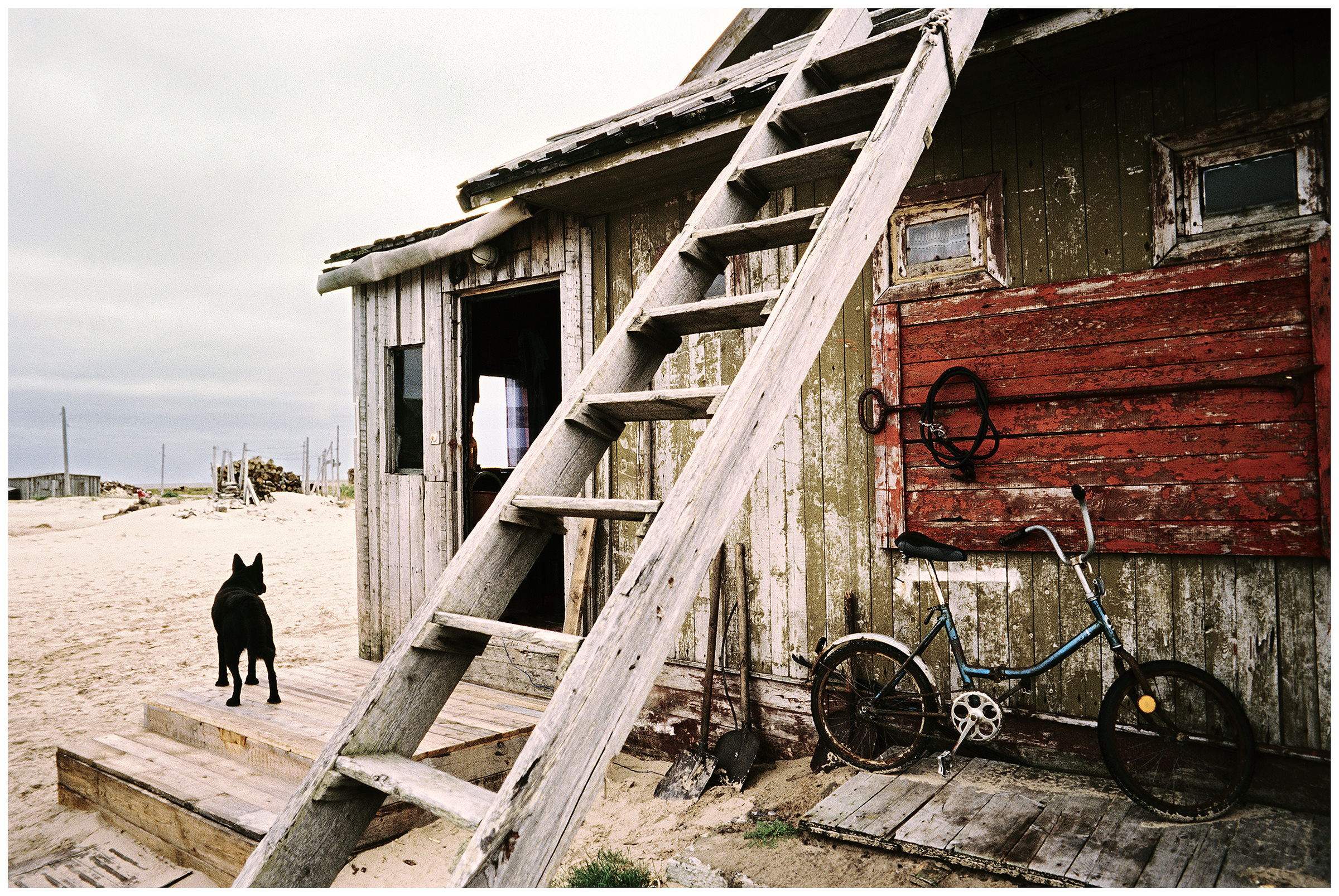 A dog and a bicycle stand in front of a house