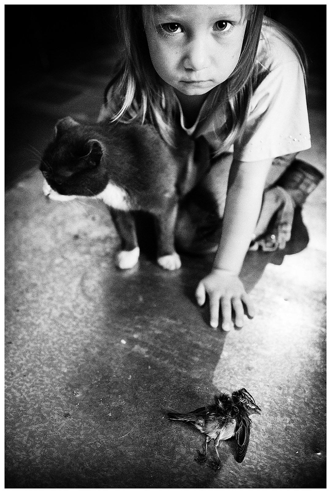 Shoyna village, Russia. A girl sits in front of a dead bird with her cat, which has killed the bird.