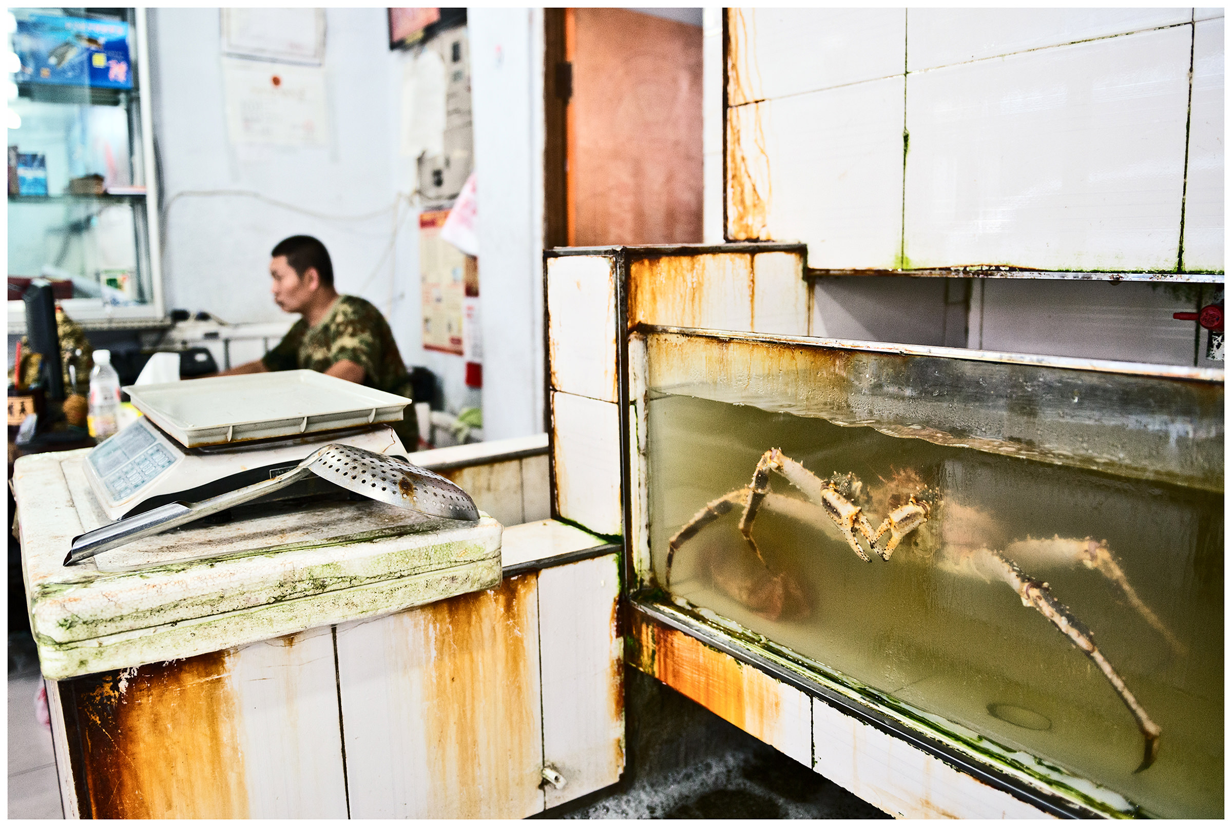 Hunchun, China. A Chinese shrimp seller sits at his workplace.