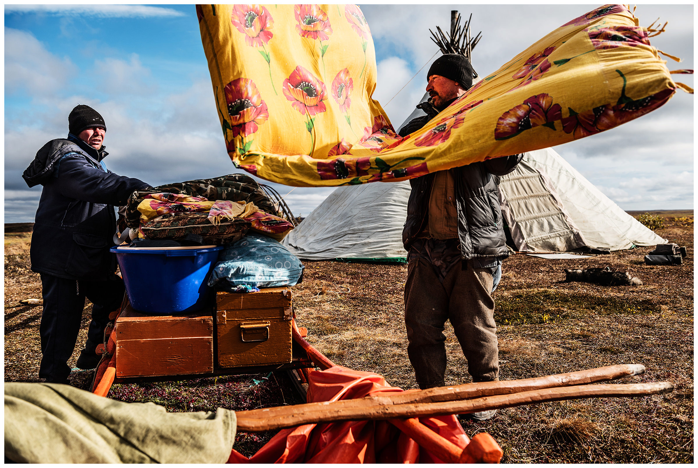 Nenets Autonomous Okrug, Komi Republic, Russia. Nomads pack their things on sledges.