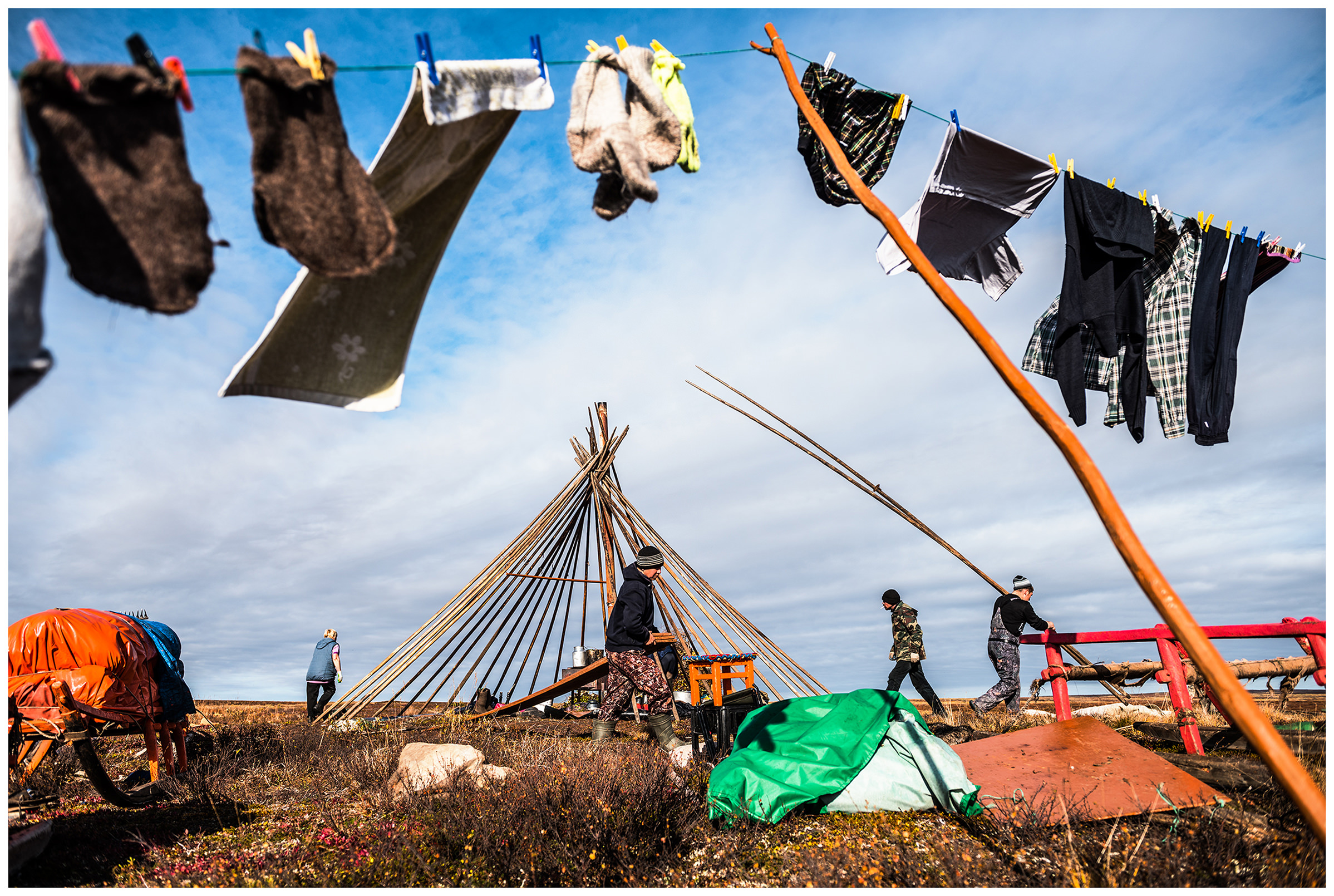 Nenets Autonomous Okrug, Komi Republic, Russia. Reindeer herders dismantle their tents.