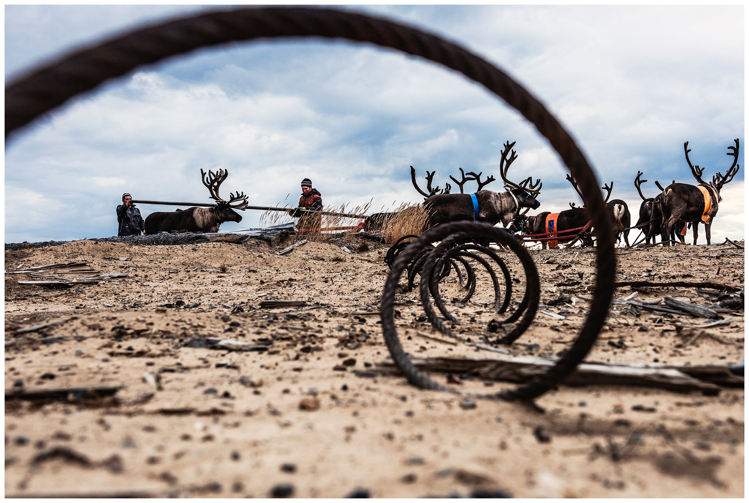 Nenets Autonomous Okrug, Komi Republic, Russia. Komi nomads gather in the tundra garbage that oil field workers have left behind.
