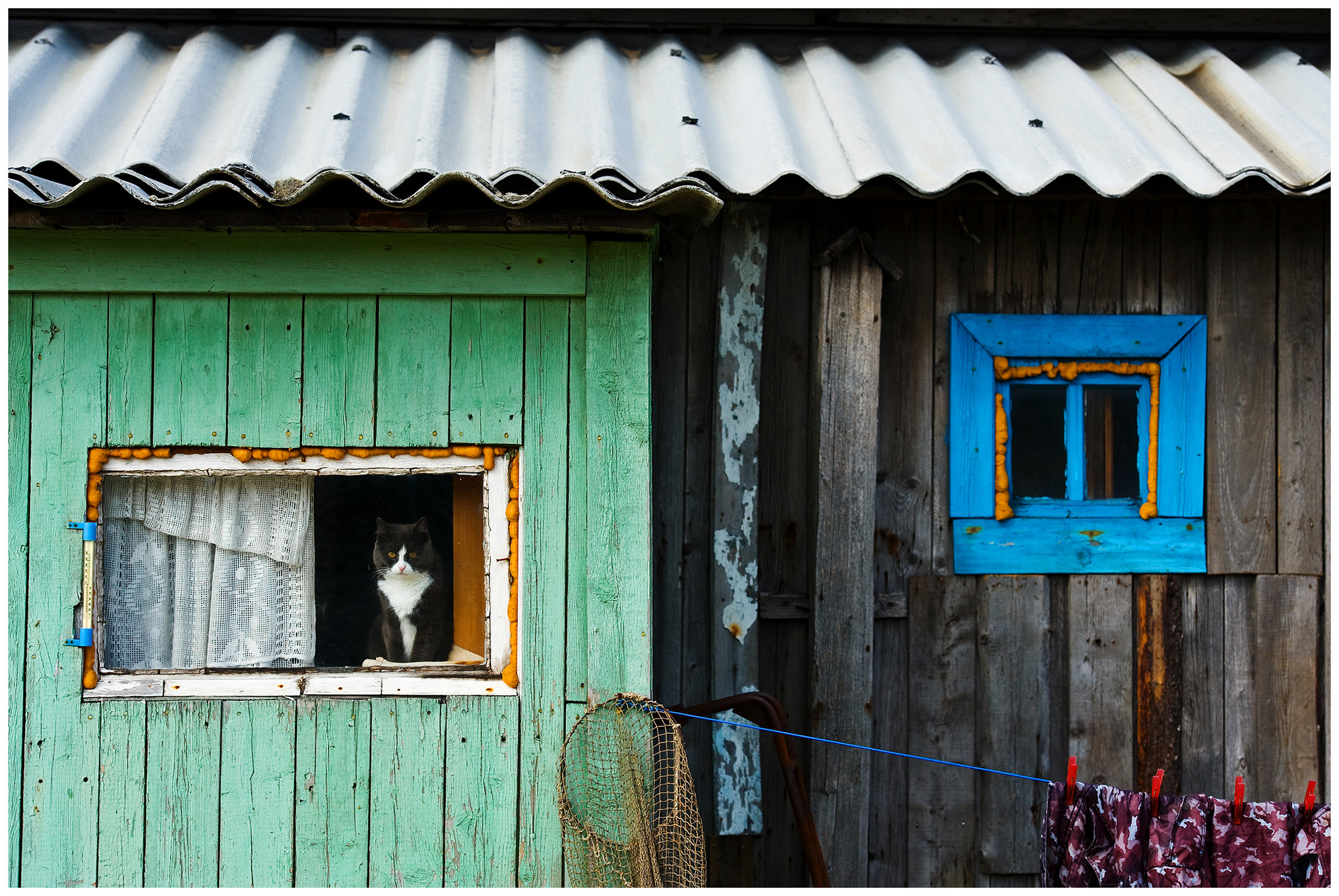 Shoyna village, Russia. A cat is sitting in the window.