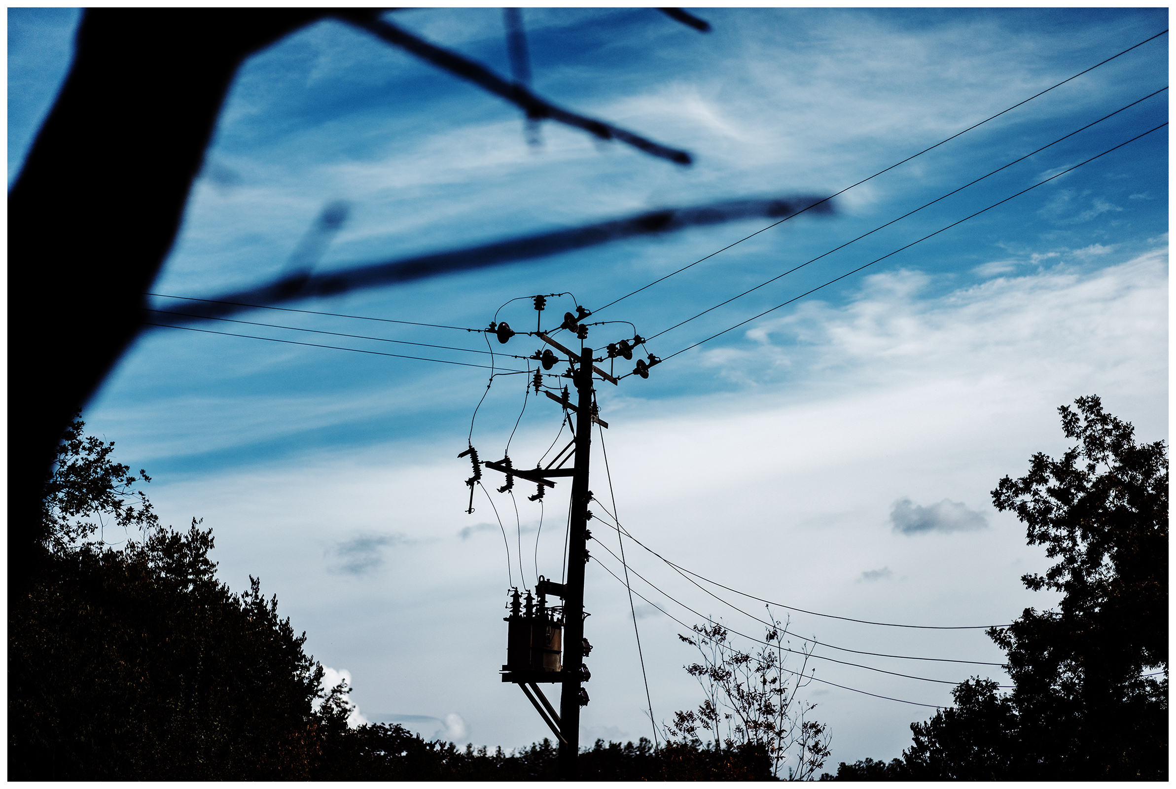 Miliou, Cyprus. A power pole stands in the forest in the Wellness Retreat Secret Forest.